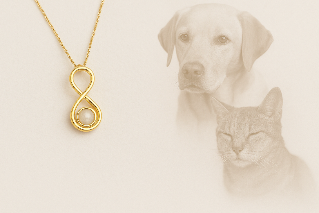 Mogelijkheden om een overleden huisdier te herdenken