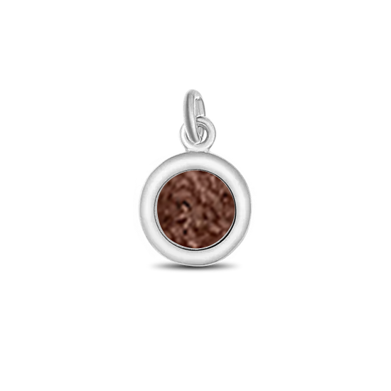 Circle of Life | Ash pendant solid 