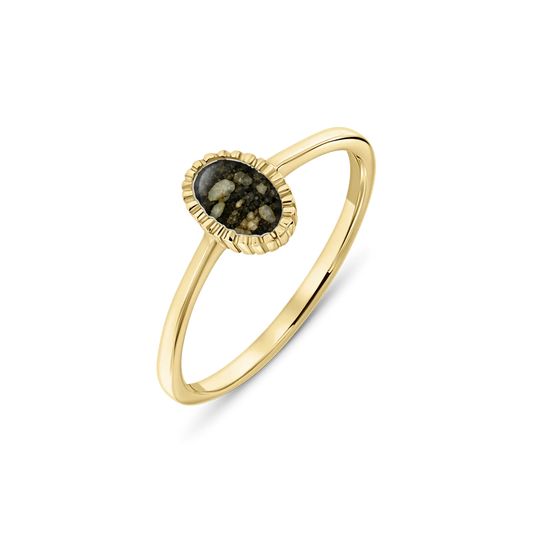 Lauren as-ring in massief geel goud met antraciet askleur